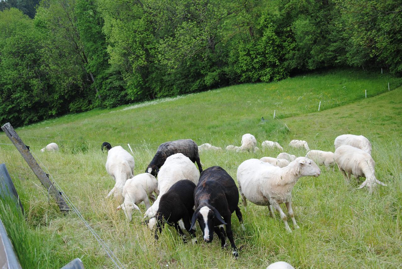 Landgasthof Seyrlberg Reichenau im Mühlkreis Exterior foto